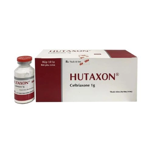 Thuốc kháng sinh HUTAXON 1G hộp 10 lọ