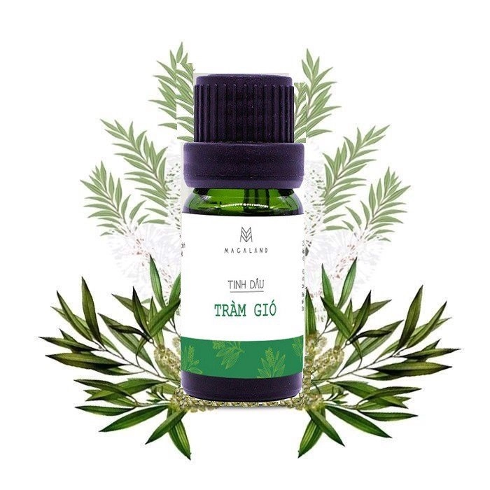 Tinh dầu tràm gió Macaland hộp 1 chai 10ml