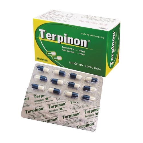 Thuốc điều trị viêm phế quản, long đờm Terpinon Vacopharm hộp 10 vỉ x 12 viên