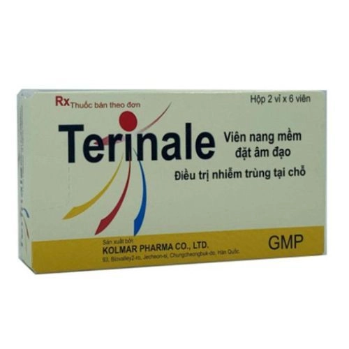 Viên đặt phụ khoa Terinale Terinale Hộp 2 vỉ x 6 viên
