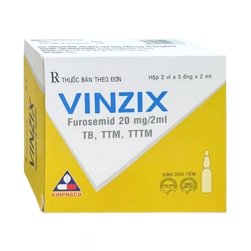 https://cdn.medigoapp.com/product/Vinzix_20mg2ml_b1a49bfca5.png