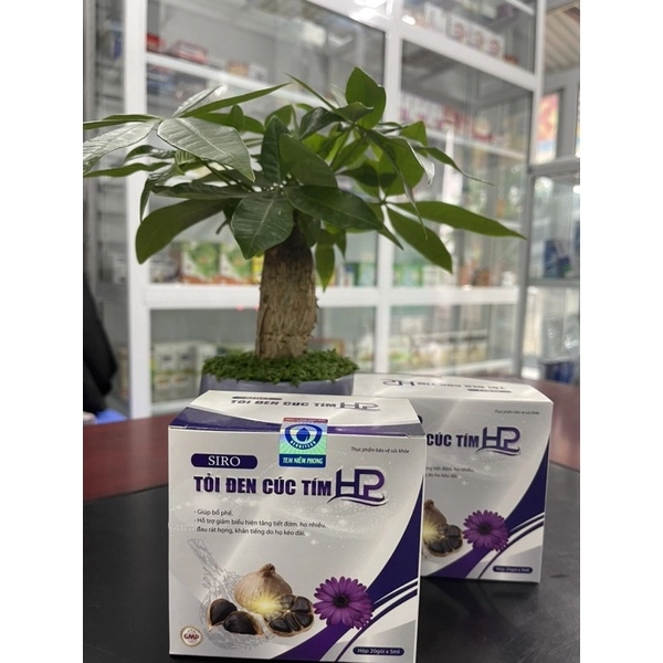 Siro hỗ trợ giải cảm, giảm ho, tiêu đờm Siro Tỏi Đen Cúc Tím HP hộp 20 gói x 5ml