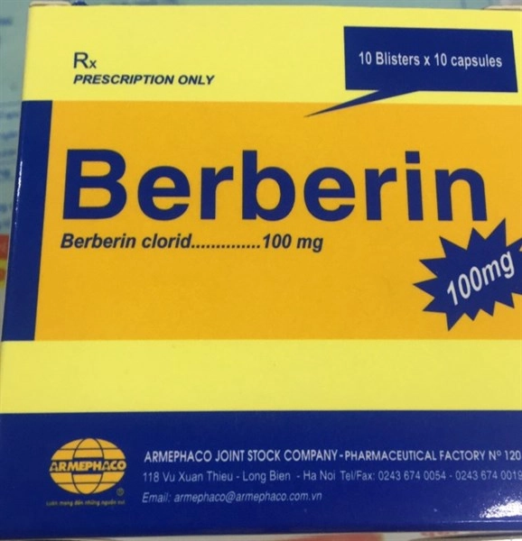 Thuốc điều trị các bệnh đường ruột Berberin 100mg (Armephaco) hộp 10 vỉ x 10 viên