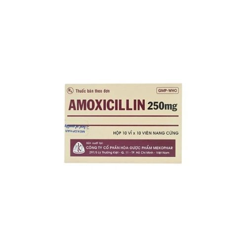 Thuốc điều trị nhiễm khuẩn Amoxicillin 250mg Mekophar  hộp 10 vỉ x 10 viên