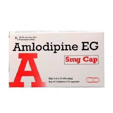 Thuốc tim mạch Amlodipine EG 5mg Cap hộp 3 vỉ x 10 viên