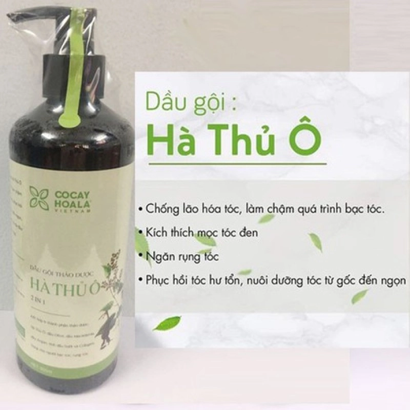 https://cdn.medigoapp.com/product/b81ce198094544289502664eaf7ee60a.jpg