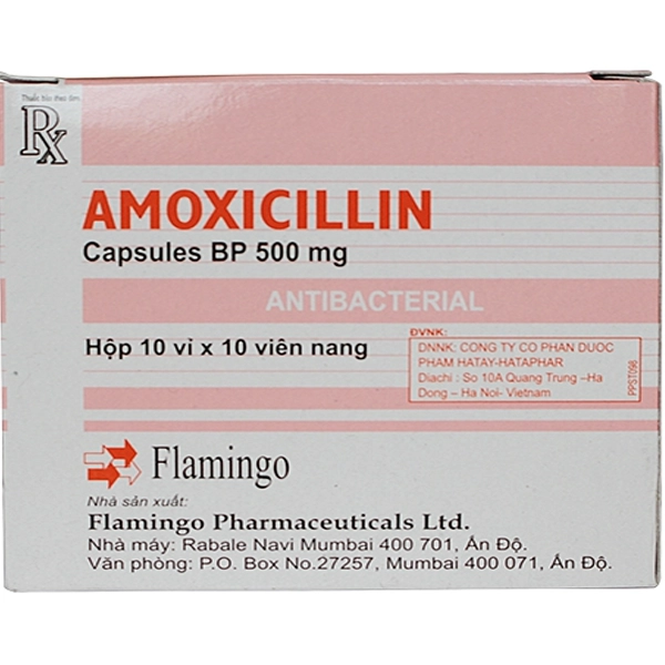 Thuốc kháng sinh Amoxicillin 500mg FLAMINGO hộp 100 viên