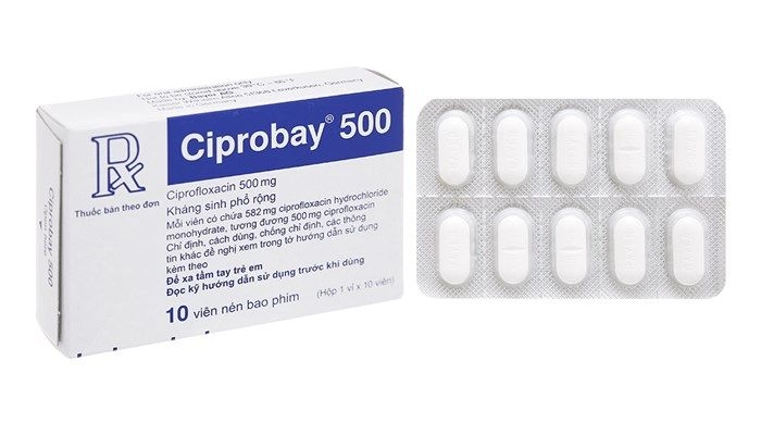 Thuốc kháng sinh Ciprobay 500mg hộp 10 viên