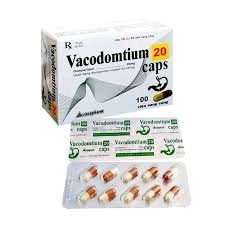Thuốc điều trị triệu chứng nôn Vacodomtium 20 cap hộp 10 vỉ x 10 viên nang