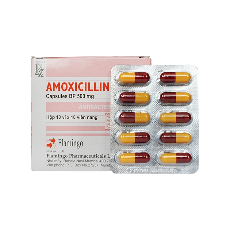 https://cdn.medigoapp.com/product/f7f009a7b1844acb9f839f1d58a0f45b.jpg