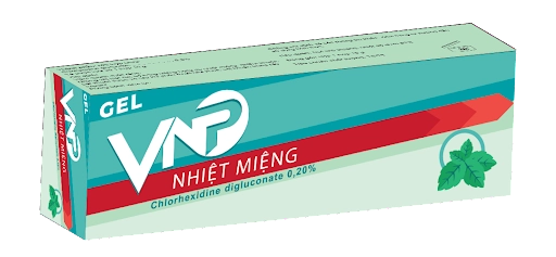 Gel VNP Nhiệt Miệng hộp 1 tuýp 10g