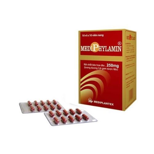 https://cdn.medigoapp.com/product/mediphylamin_250mg_mediplantex_38c57d2d07.jpg