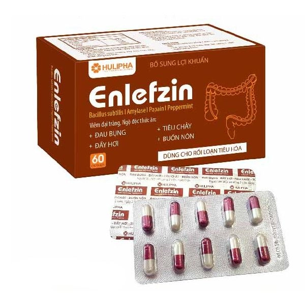 Hỗ trợ tiêu hóa Enlefzin hộp 6 vỉ x 10 viên
