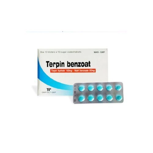 https://cdn.medigoapp.com/product/terpin_benzoat_dp_thanh_nam_2_790a1aab10.jpg