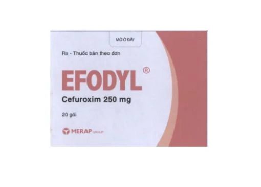 Thuốc kháng sinh Efodyl 250mg hộp 20 gói x 3g