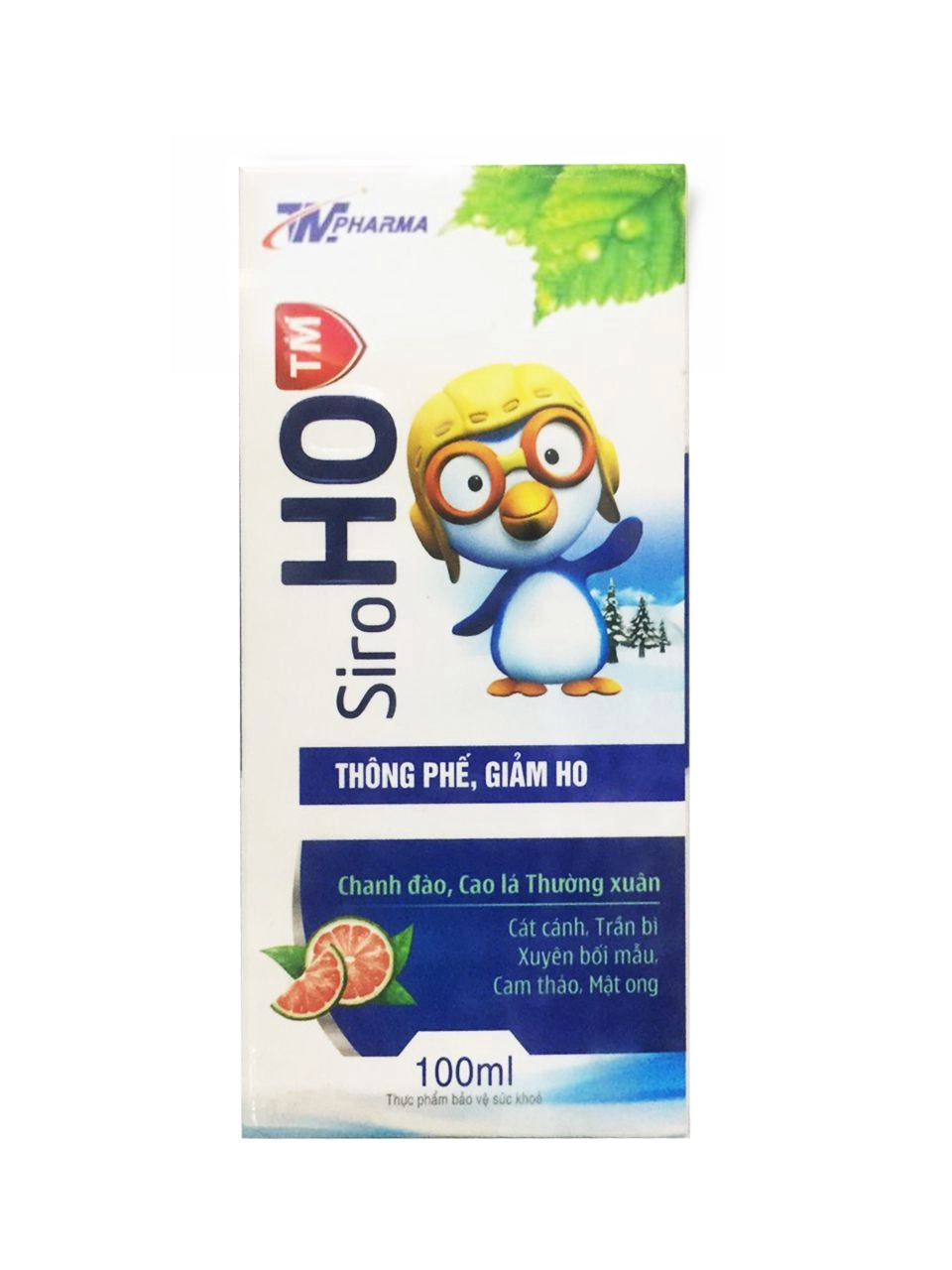 Thông phế, giảm ho Siro HO TM (Thiên Minh Pharma) hộp 1 lọ 100ml