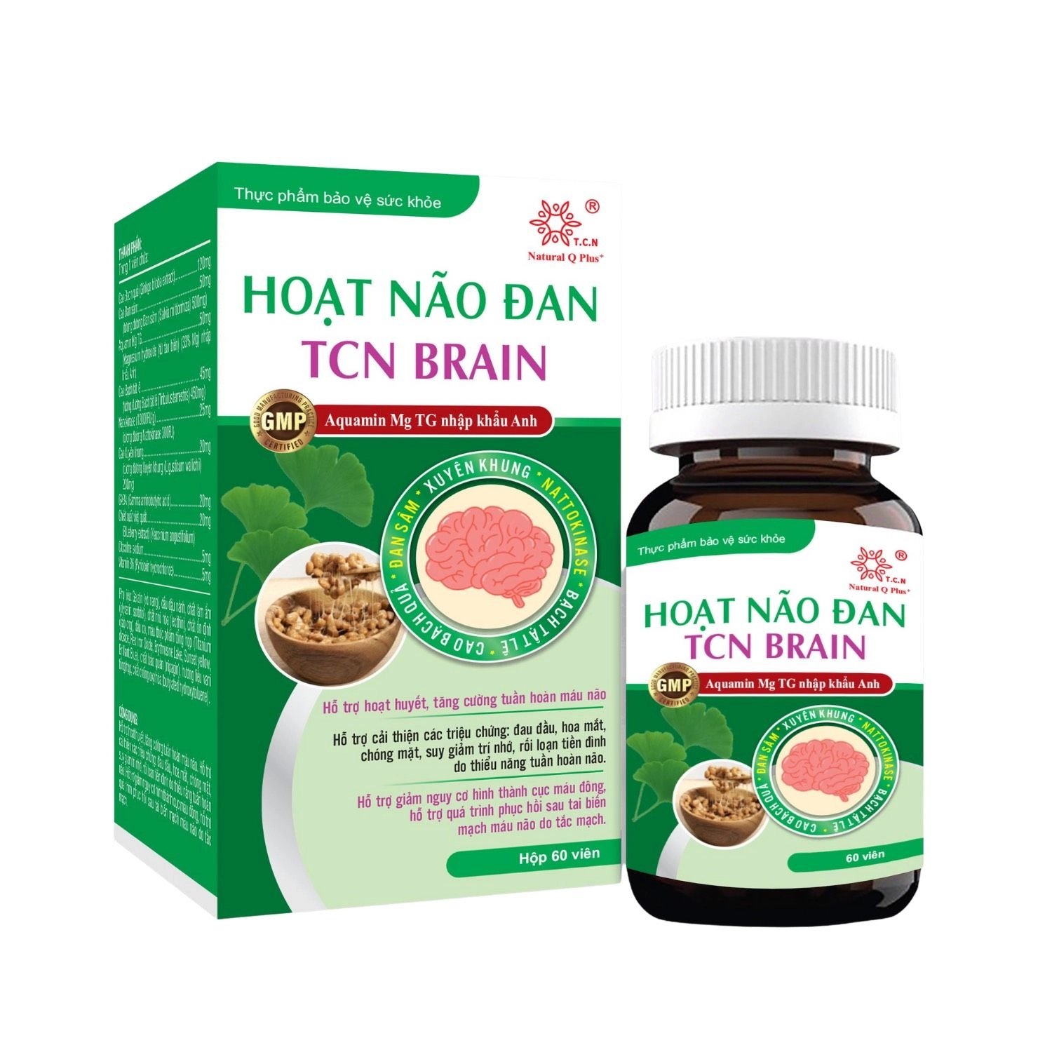 Hỗ trợ hoạt huyết, tăng cường tuần hoàn máu não Hoạt Não Đan TCN Brain hộp 1 lọ 60 viên nang cứng